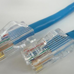 商品画像:CAT5eケーブル 両端RJ45(PANDUIT) ブーツ無し 撚り線/ストレート結線 青 1m C5ES-ST-BL-01P