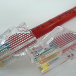 商品画像:CAT5eケーブル 両端RJ45(PANDUIT) ブーツ無し 撚り線/ストレート結線 赤 1m C5ES-ST-RD-01P