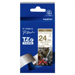 商品画像:TZeテープ ピータッチ専用テープ(ホワイトテープ/金字)24mm TZE-R254