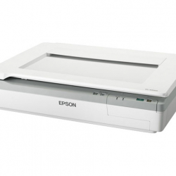 商品画像:A3フラッドヘッドスキャナー (原稿台600dpi/ADFなし/ネットワークオプション) DS-50000