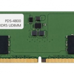 商品画像:16GB DDR5-4800 288PIN UDIMM PD5-4800-16G