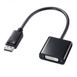 商品画像:DisplayPort-DVI変換アダプタ AD-DPDV04