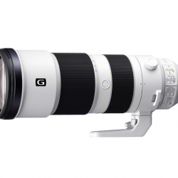 商品画像:<α>超望遠ズームレンズ FE 200-600mm F5.6-6.3 G OSS(17群24枚/Eマウント) SEL200600G